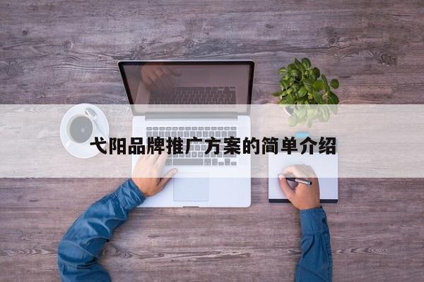 弋阳品牌推广方案的简单介绍(图2)