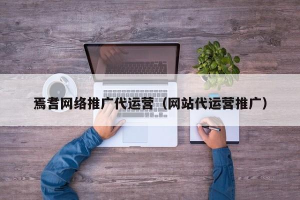 焉耆网络推广代运营（网站代运营推广）(图2)