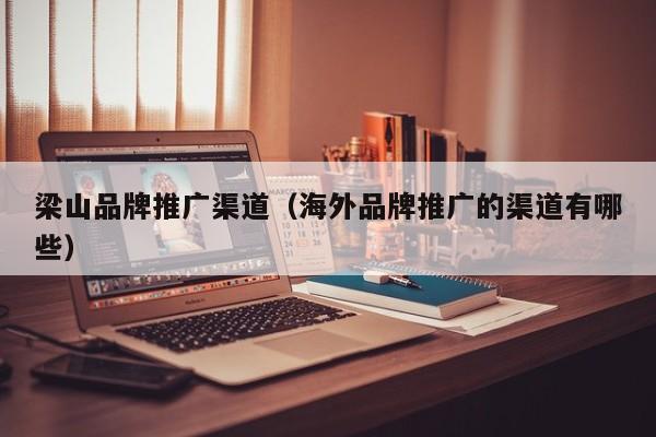 梁山品牌推广渠道（海外品牌推广的渠道有哪些）(图2)