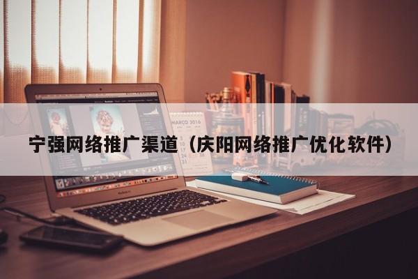 宁强网络推广渠道（庆阳网络推广优化软件）(图2)