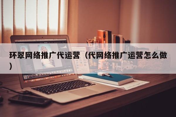 环翠网络推广代运营（代网络推广运营怎么做）(图2)