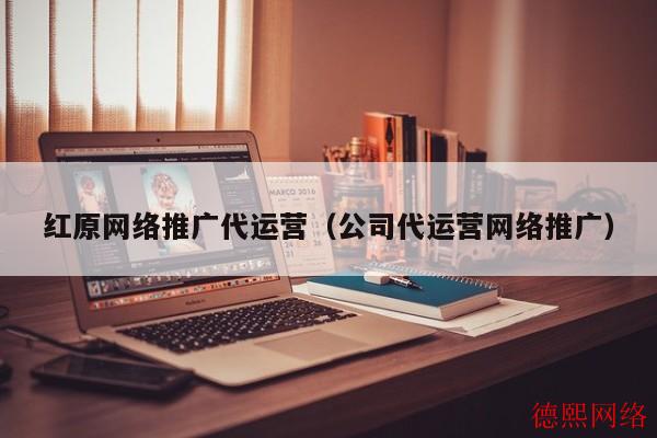 红原网络推广代运营（公司代运营网络推广）(图2)