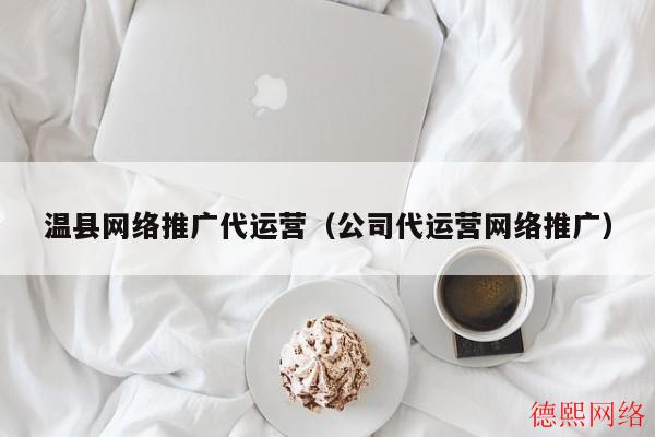 温县网络推广代运营（公司代运营网络推广）(图2)