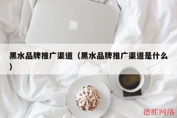 黑水品牌推广渠道（黑水品牌推广渠道是什么）(图2)