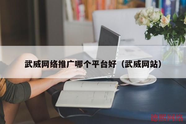 武威网络推广哪个平台好（武威网站）(图2)