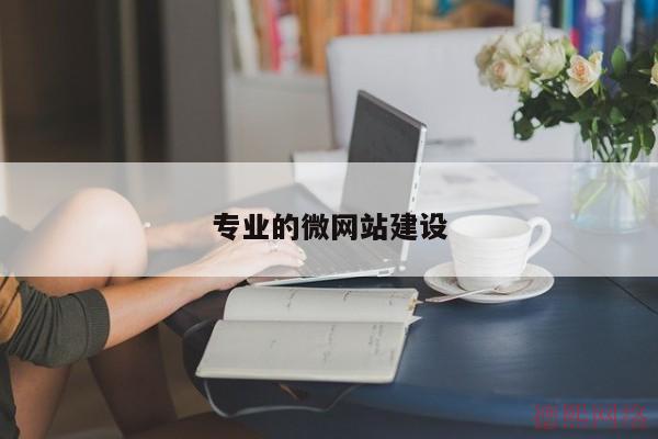 专业的微网站建设(图2)