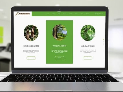 2026年鲅鱼圈网站建设公司推荐(图1)