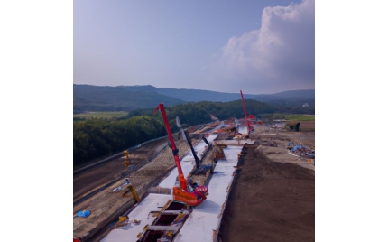 新蔡网站建设
