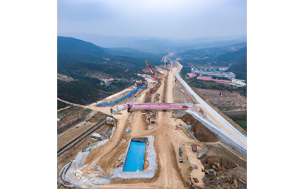 武宣网站建设
