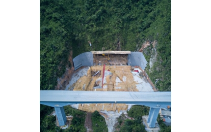 泰顺网站建设