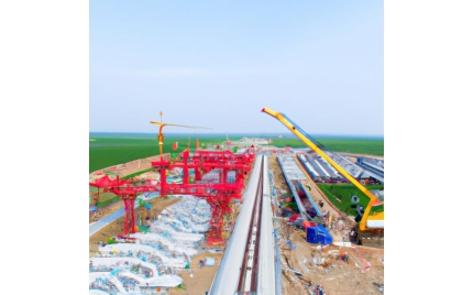 太白网站建设