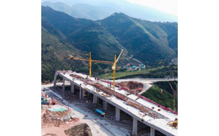 任县网站建设