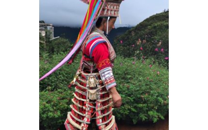 禄劝彝族网络推广