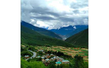 林芝品牌推广公司