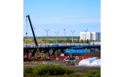 黑龙江网站建设公司