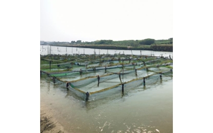 冷水江网络推广