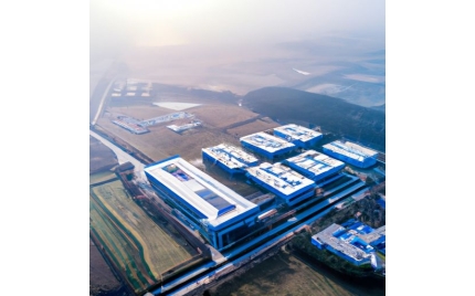 湖州网站建设公司