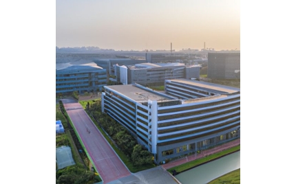 池州网站建设公司