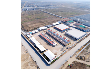 宣威网站建设公司