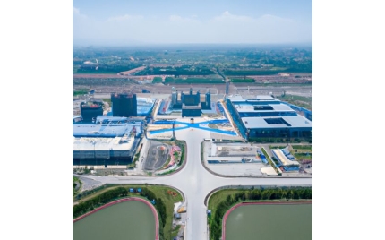 应城网站建设公司