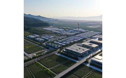 东河网站建设公司