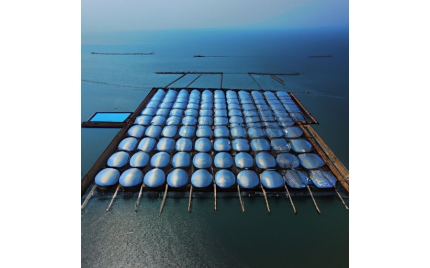 鲅鱼圈网站建设公司