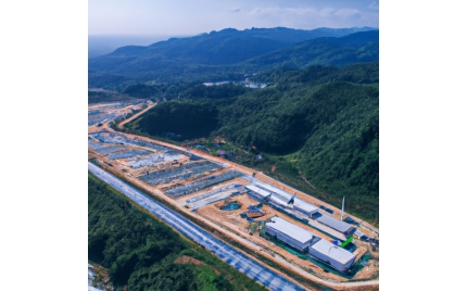 白水网站建设公司