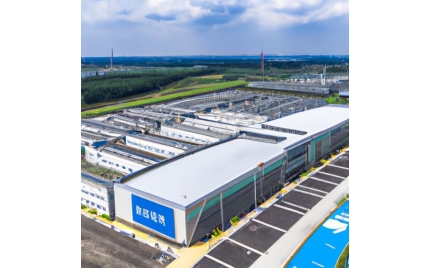 川汇网站建设公司