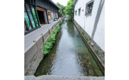 阿荣品牌推广渠道