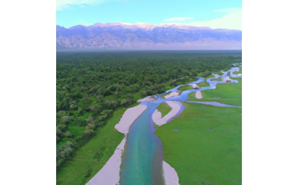 阿瓦提品牌推广渠道