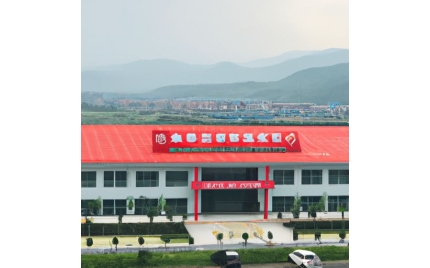 安县网络推广代运营