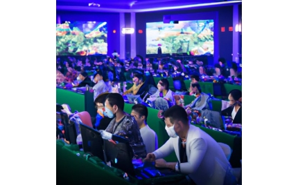 苍南网络推广哪个平台好