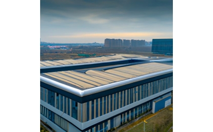 苍南网站建设多少钱