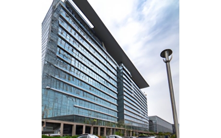 大安网站建设哪家好