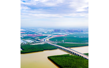 建德网络推广渠道