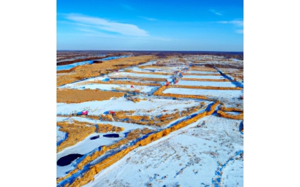 黑龙江网络推广渠道