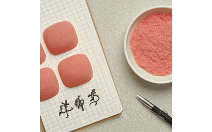 南部品牌推广流程