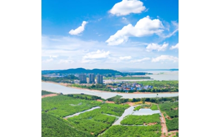 商洛网络推广渠道