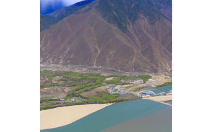 林芝网络推广代运营