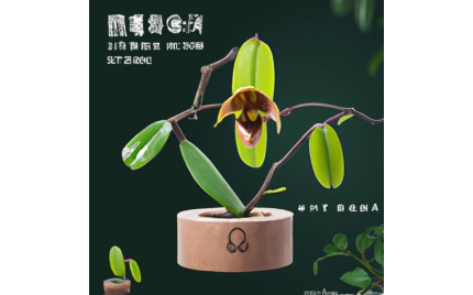 乐陵品牌推广流程