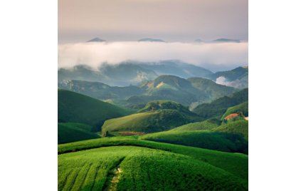 茶陵网络推广哪个平台好