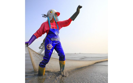 毕节网络推广哪个平台好