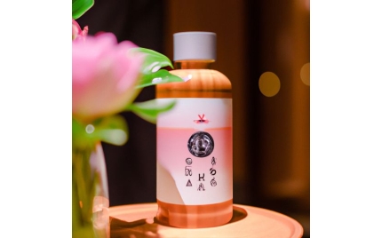 乐昌品牌推广哪家好