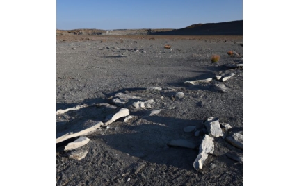 牙克石网络推广代运营