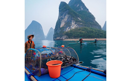 潜山网络推广哪个平台好