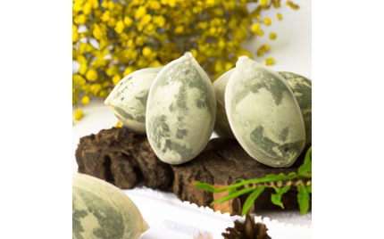 桐乡品牌推广流程