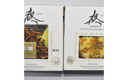 大新品牌推广哪家好