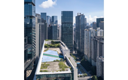 罗湖区网络推广代运营