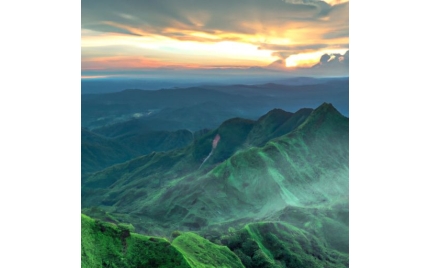 平顶山网络推广哪个平台好