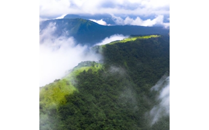平顶山网络推广渠道